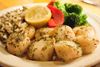 aberdeen-barn-williamsburg-fresh-scallops-broiled-in-garlic-butter-white-wine-and-parsley