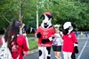 Picture of Flat Out Events - Chick-fil-A 5K