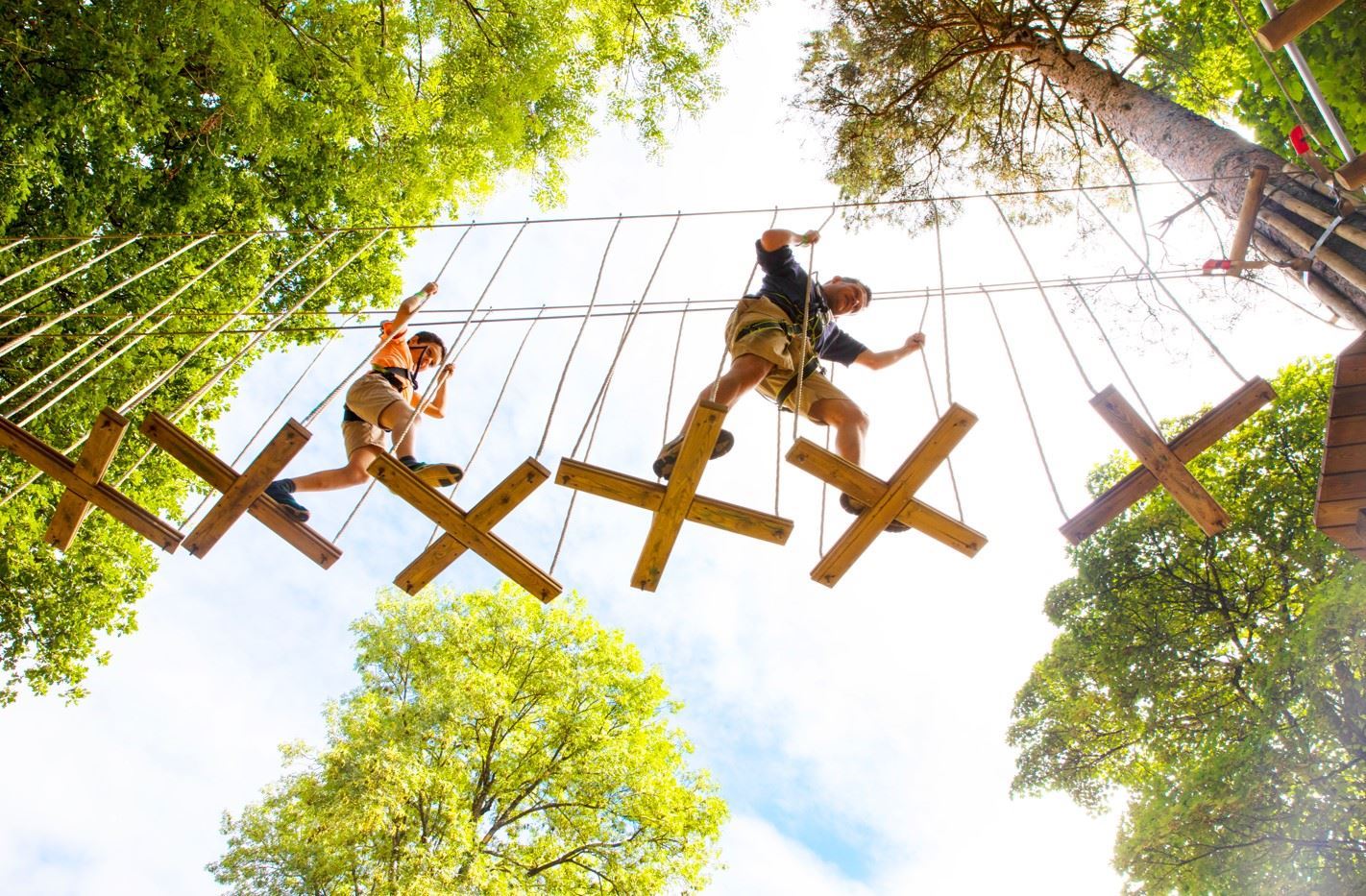 30OffLocal. Go Ape Zipline & Adventure Park Treetop Journey Ticket