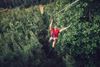 Picture of Go Ape Zipline & Adventure Park Adult (16+) Treetop Adventure Ticket