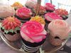 Picture of Smallcakes Cupcakery Williamsburg