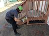Picture of Junkluggers of Williamsburg- Half Truck Junk Removal (8 cubic yards)