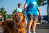 Picture of Heritage Humane Society Furever Homes Race - 1 Mile Fun Run