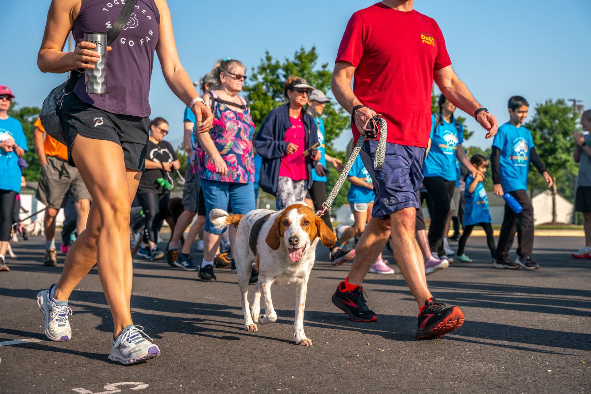 30OffLocal. Heritage Humane Society Furever Homes Race - 5k Run