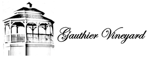 Picture of Gauthier Vineyard