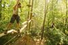 Picture of Go Ape Zipline & Adventure Park Adult (16+) Treetop Adventure Ticket