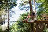 Picture of Go Ape Zipline & Adventure Park Treetop Journey Ticket